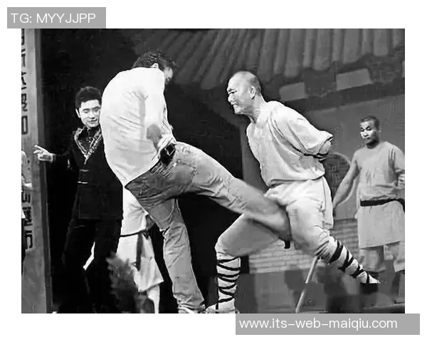 自由搏击与太极的幽默对决表情包大比拼谁才是武林高手的代表 自由搏击与太极的幽默对决表情包大比拼谁才是武林高手的代表